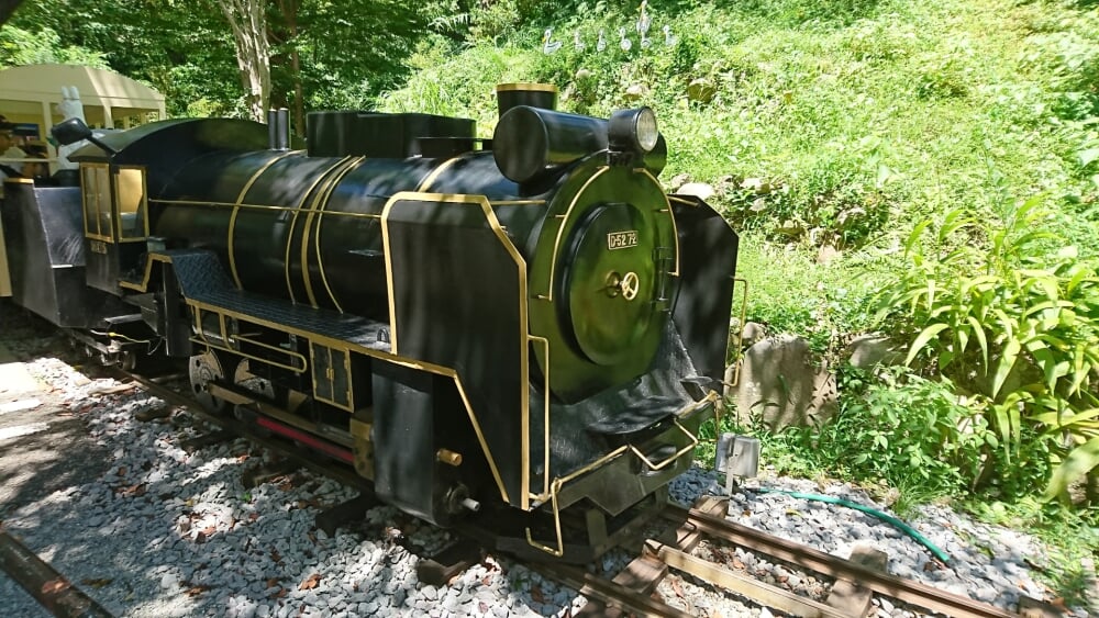 小田原城址公園の写真19