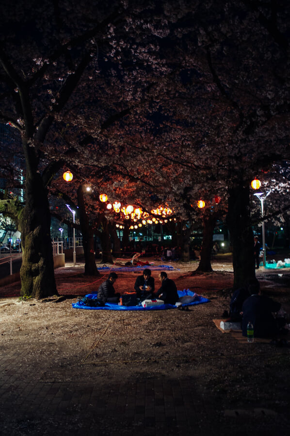 錦糸公園の写真2