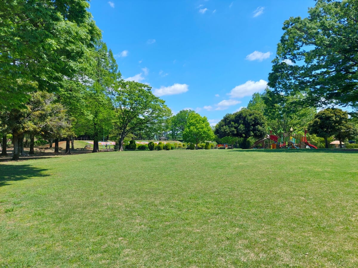 大崎公園の写真3