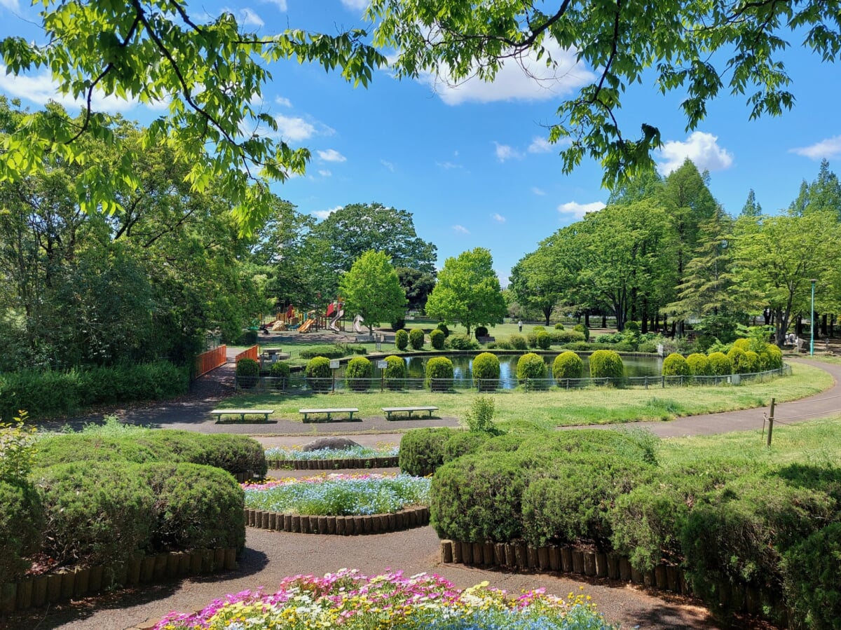 大崎公園の写真7