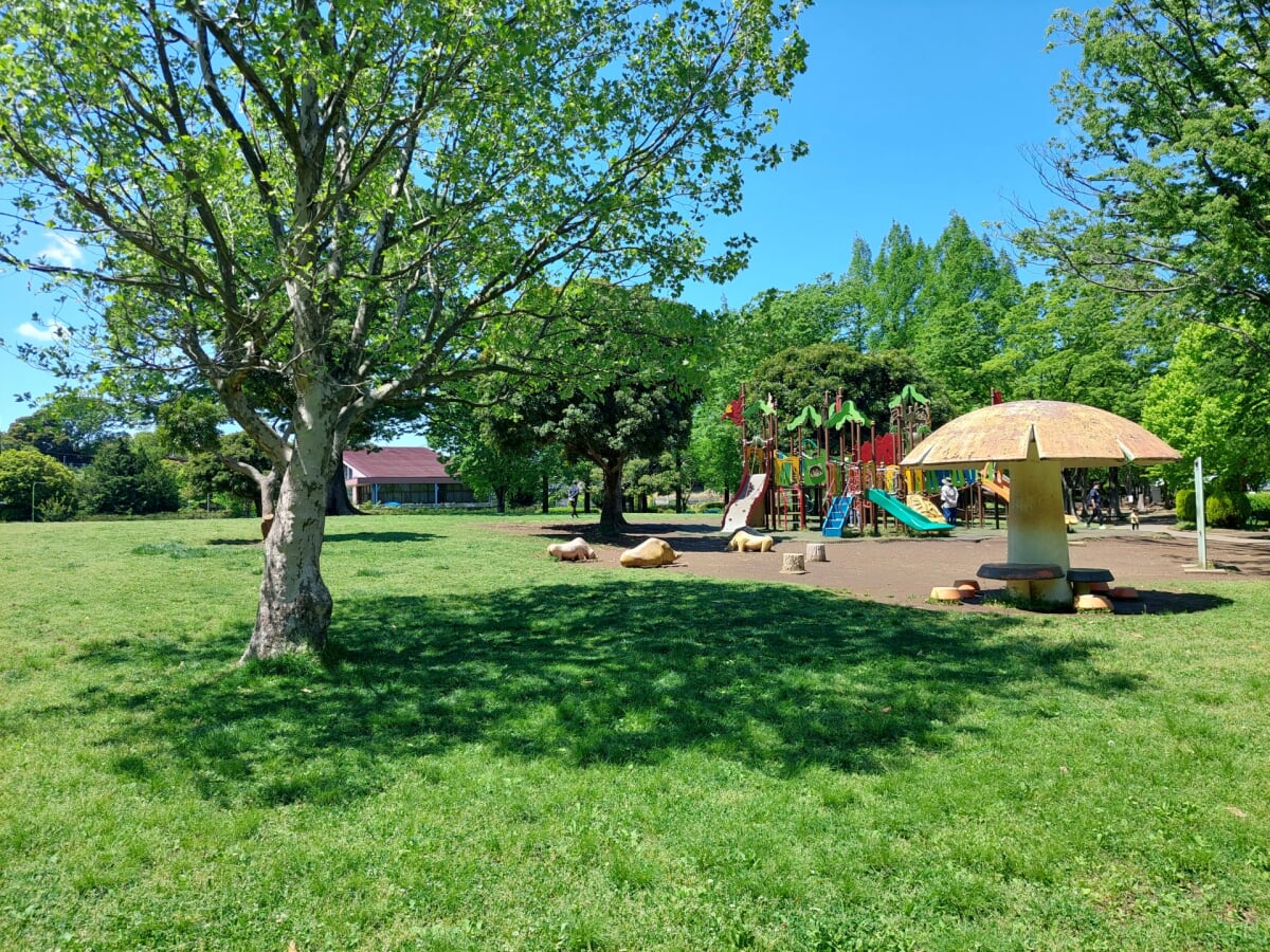 大崎公園の写真1