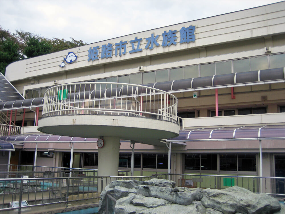 姫路市立水族館の写真7