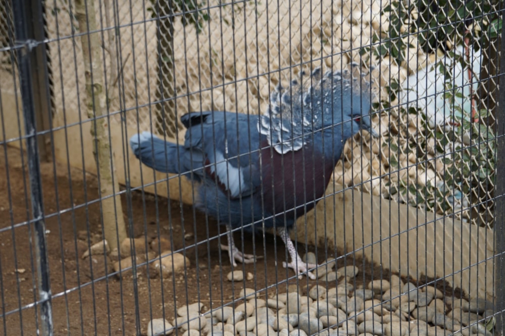 行船公園の写真2