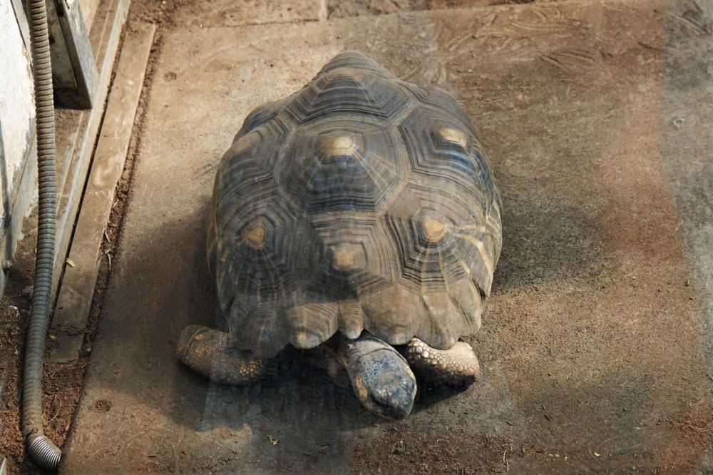 行船公園の写真3