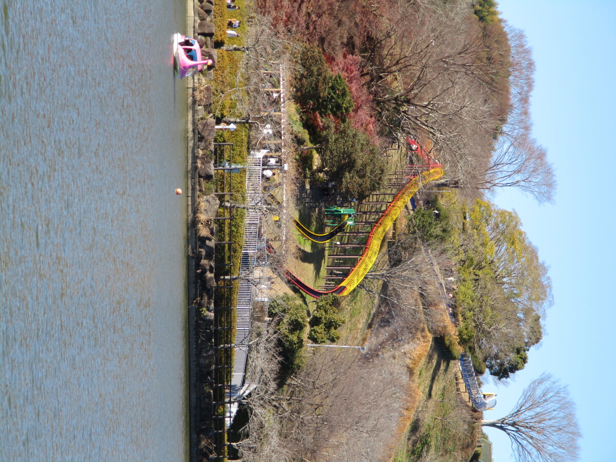 蓮華寺池公園の写真1