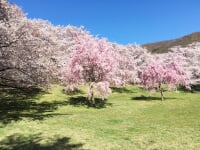 戸倉宿キティパーク