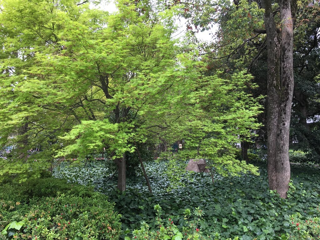 浜町公園の写真3