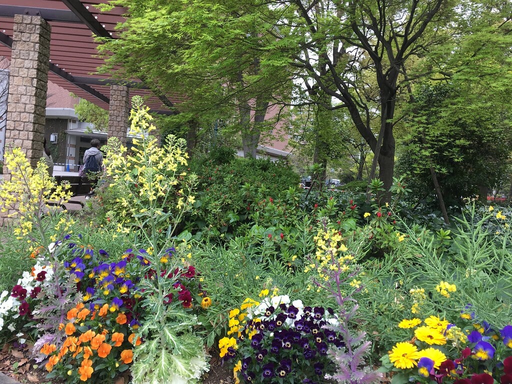 浜町公園の写真4