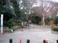 林試の森公園