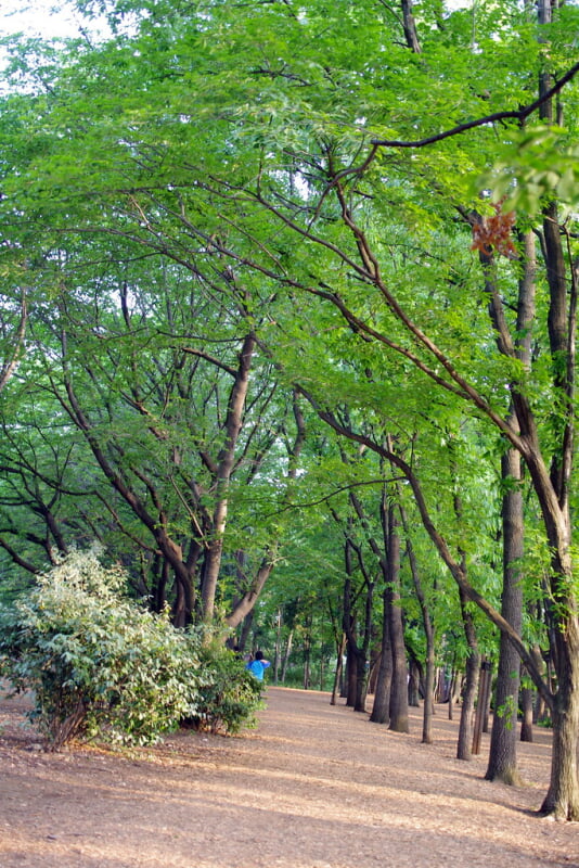林試の森公園の写真9