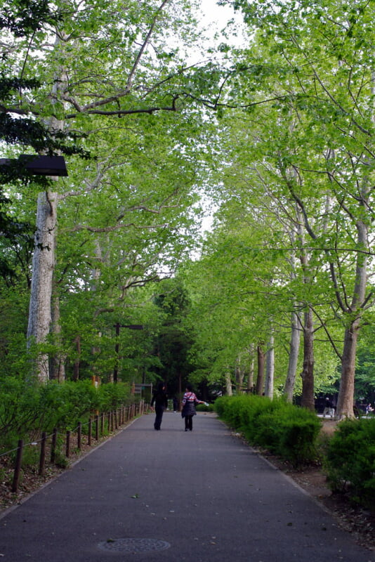 林試の森公園の写真10