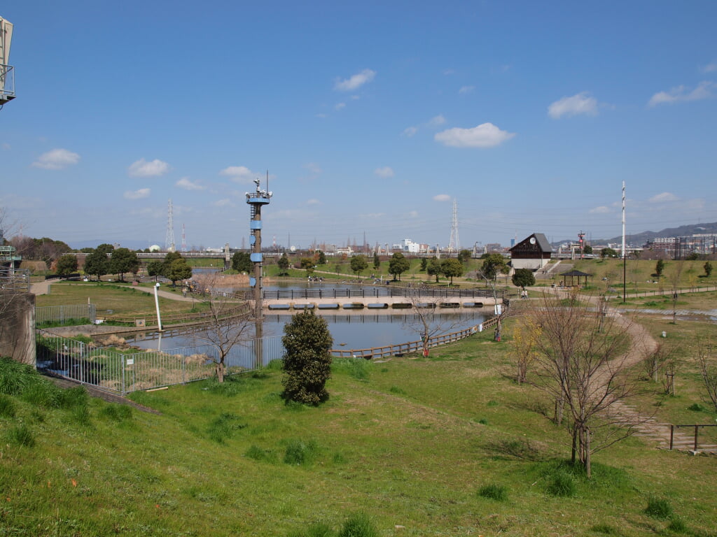 深北緑地の写真5