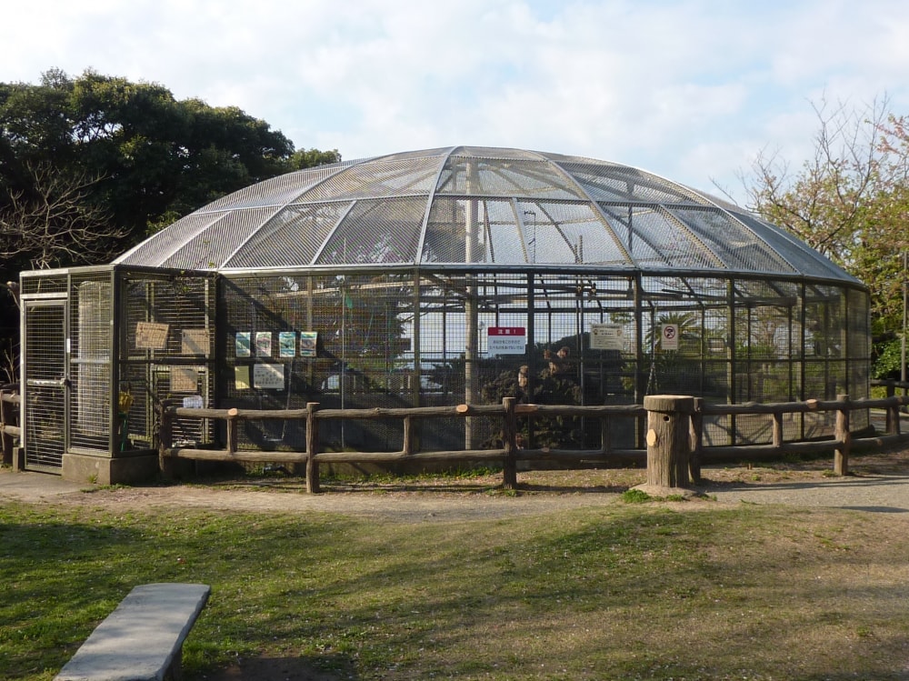 披露山公園の写真4
