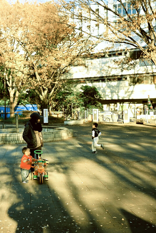 戸山公園の写真2