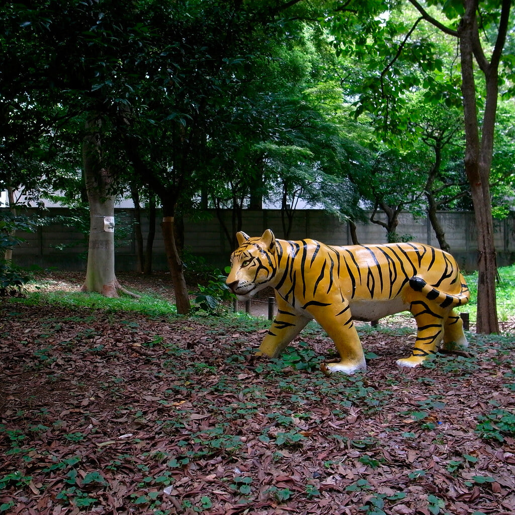 戸山公園の写真3