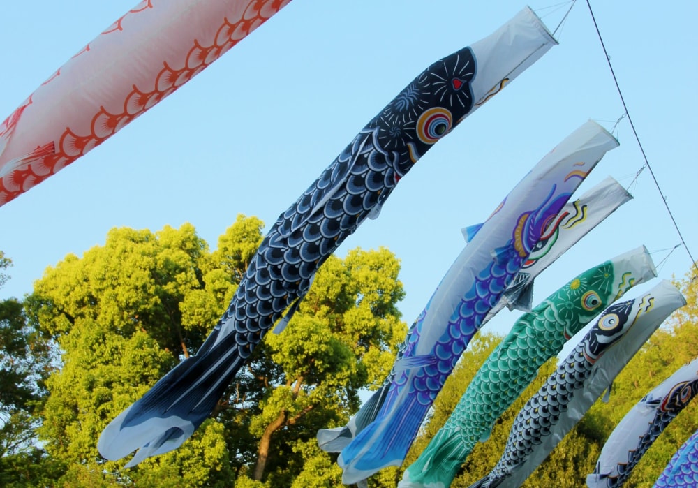 善福寺公園の写真2