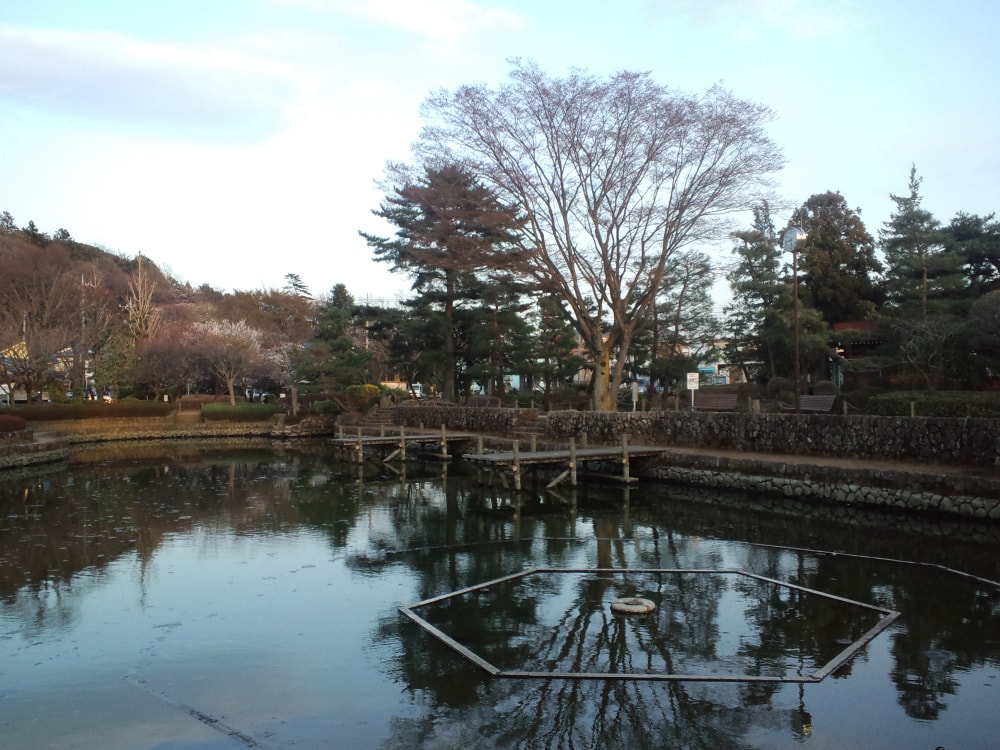 狭山池公園の写真2