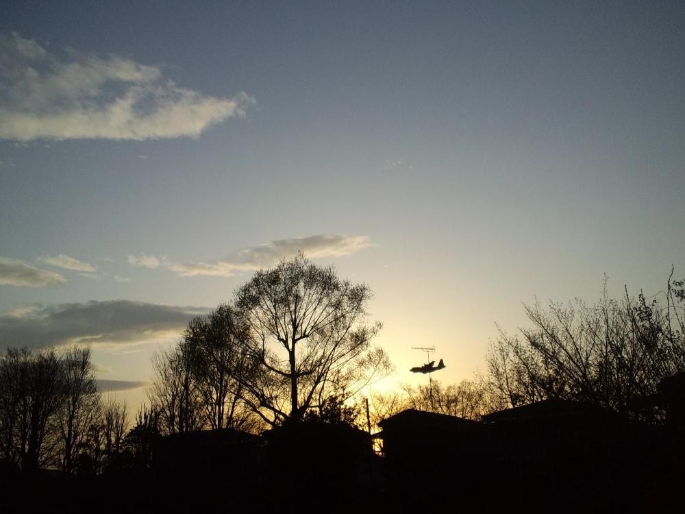 狭山池公園の写真3