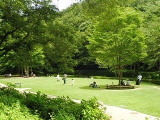 県立東高根森林公園の写真5