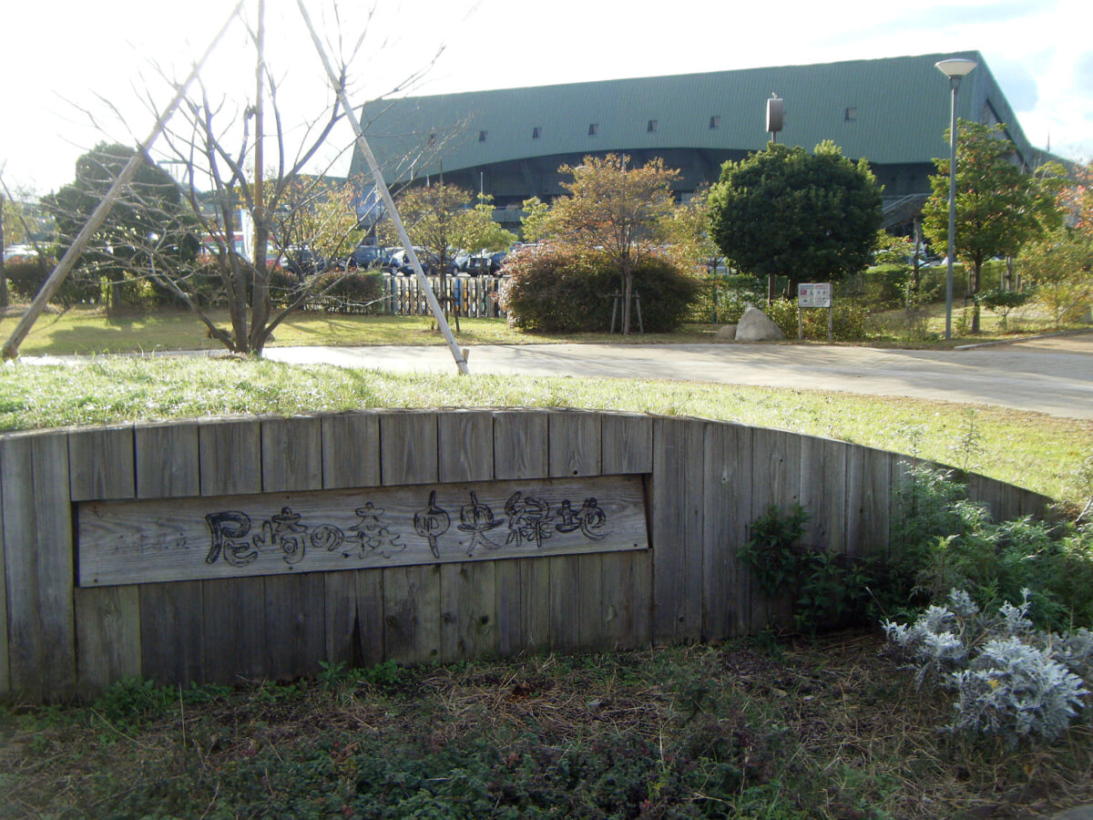 尼崎スポーツの森の写真3