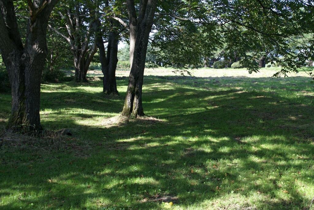 北上市立公園　展勝地の写真4