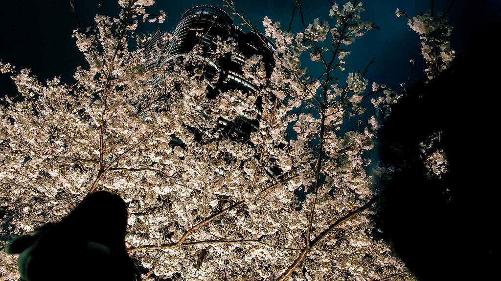 六本木ヒルズの写真2