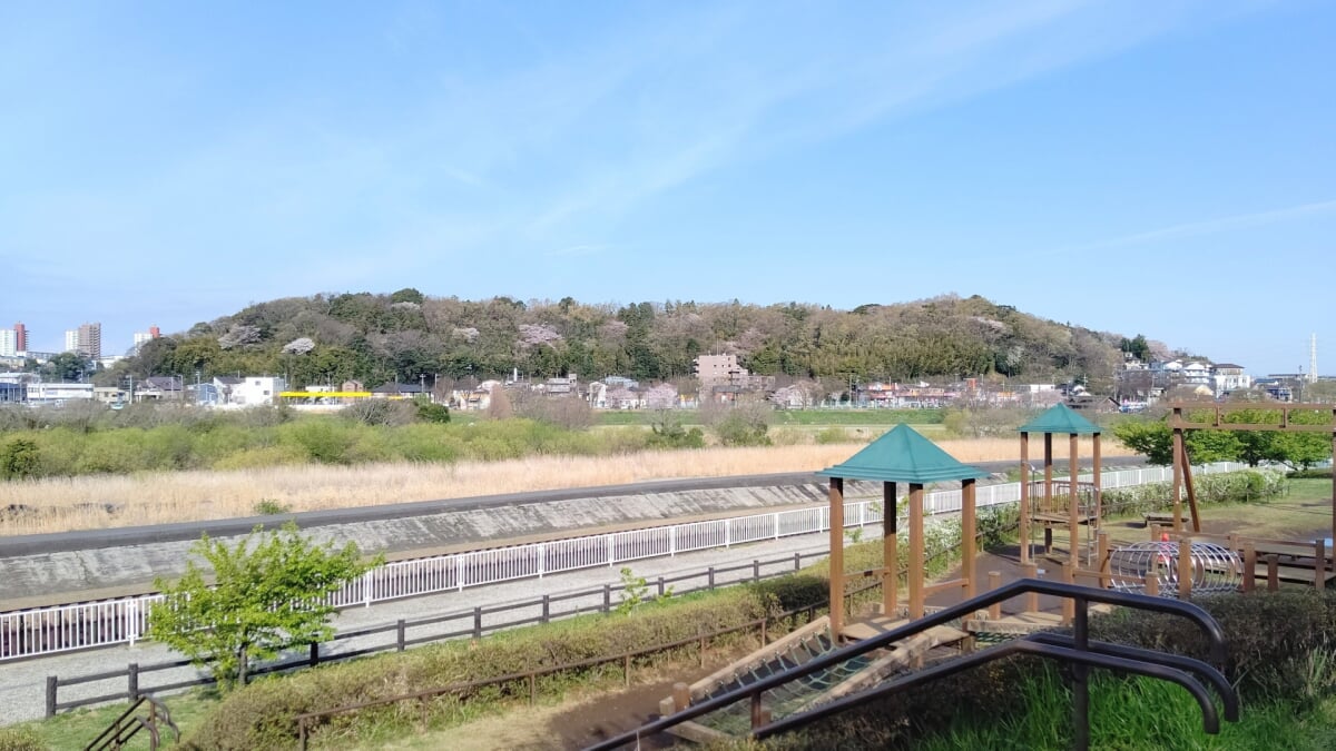 引地川親水公園の写真2