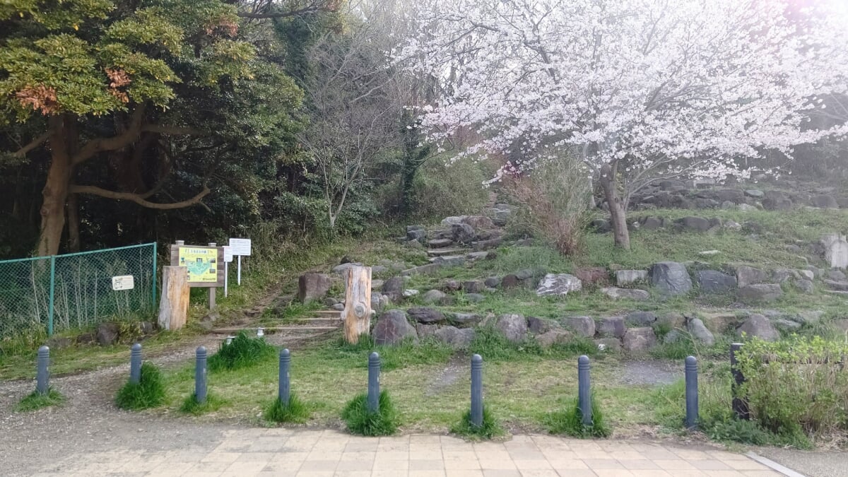 引地川親水公園の写真3