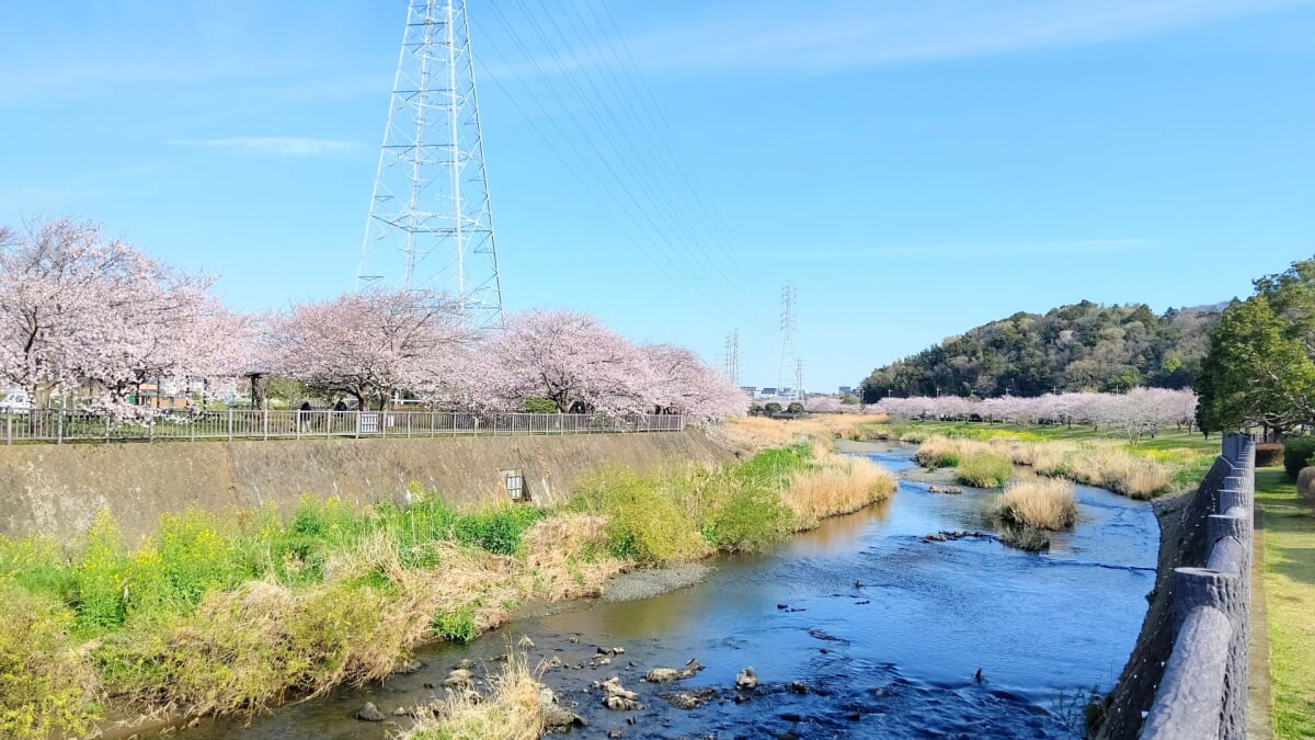 引地川親水公園の写真4