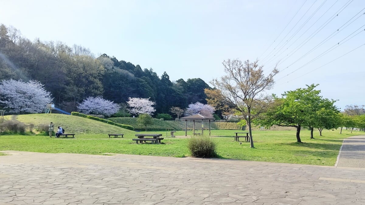 引地川親水公園の写真8