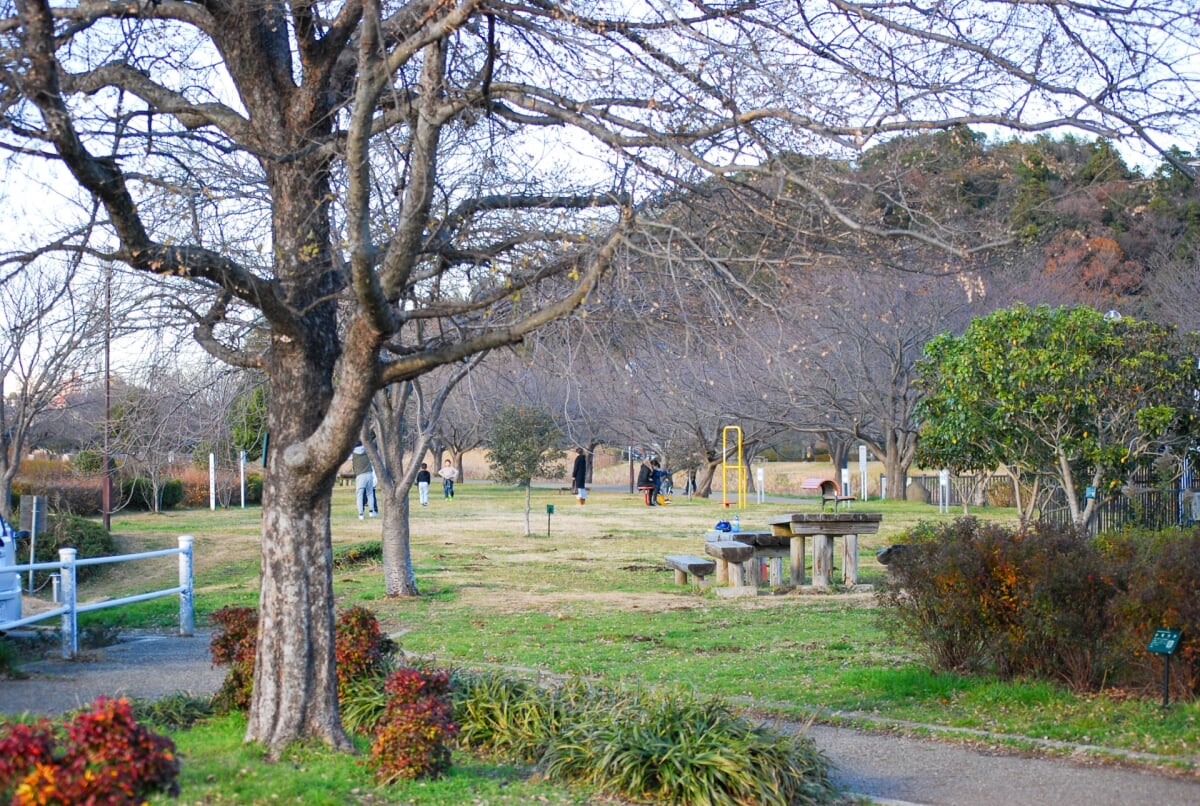 引地川親水公園の写真1
