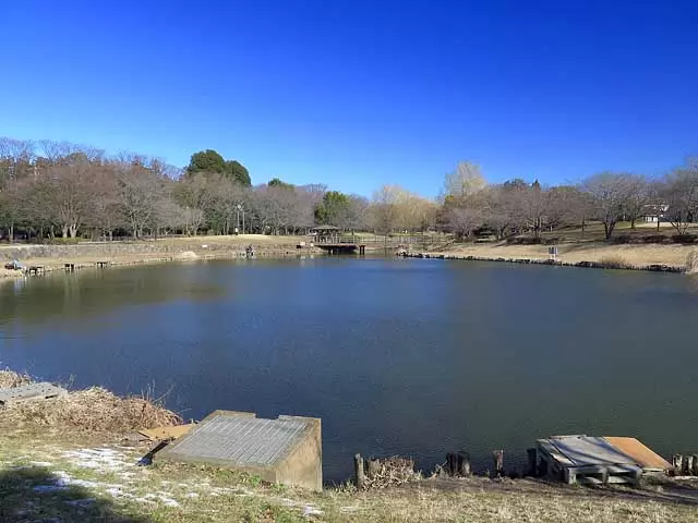 西城沼公園の写真1