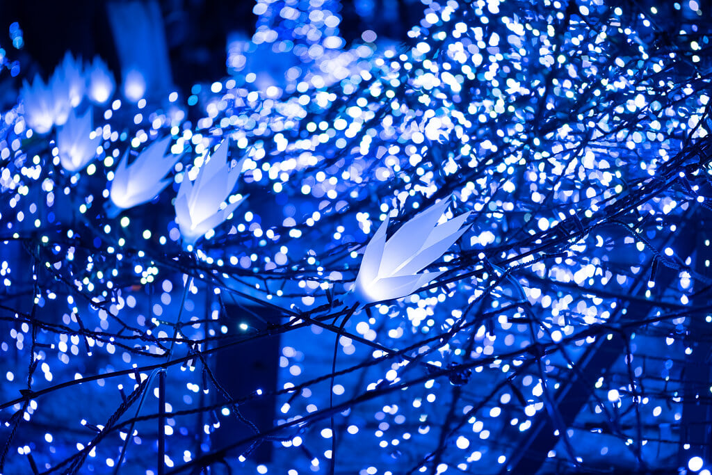 カレッタ汐留の写真5