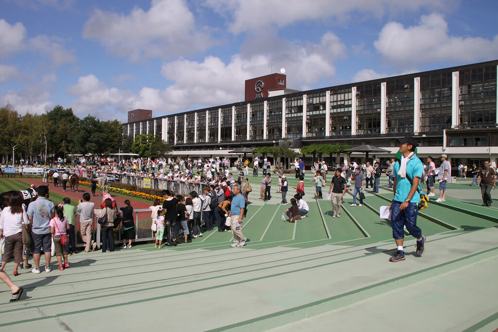 札幌競馬場の写真3