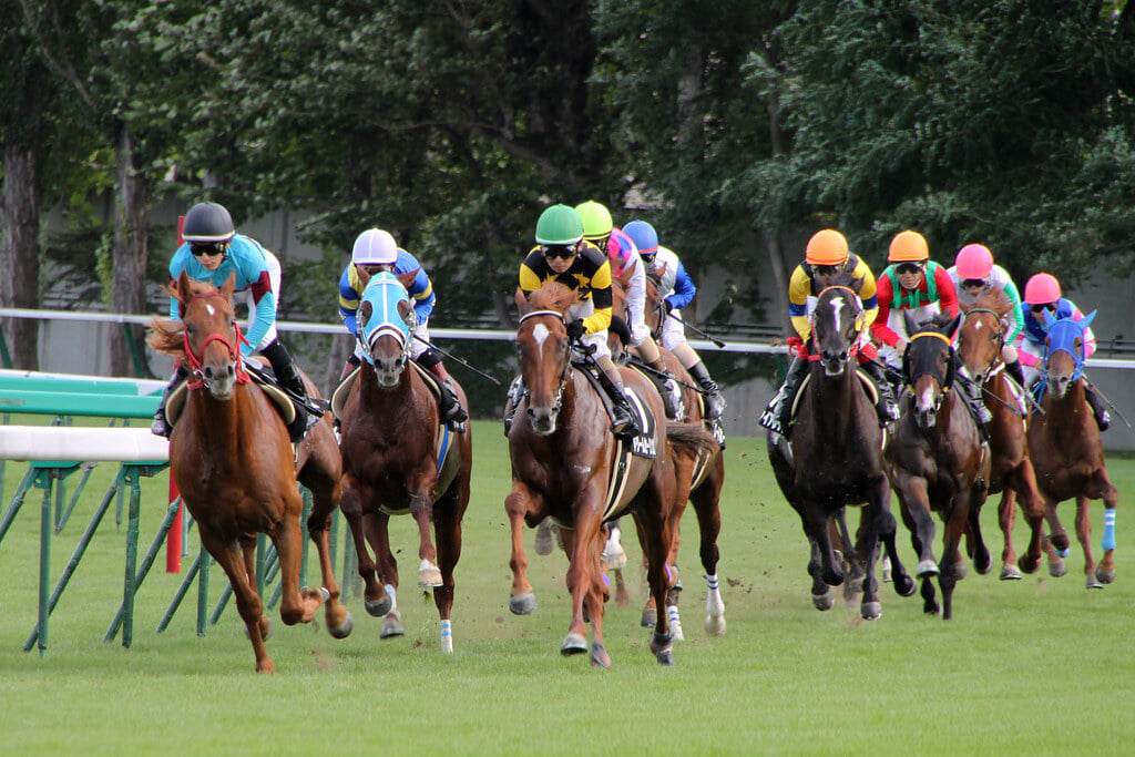 札幌競馬場の写真4