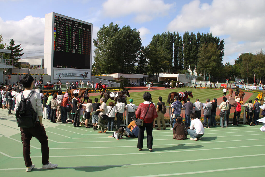 札幌競馬場の写真6