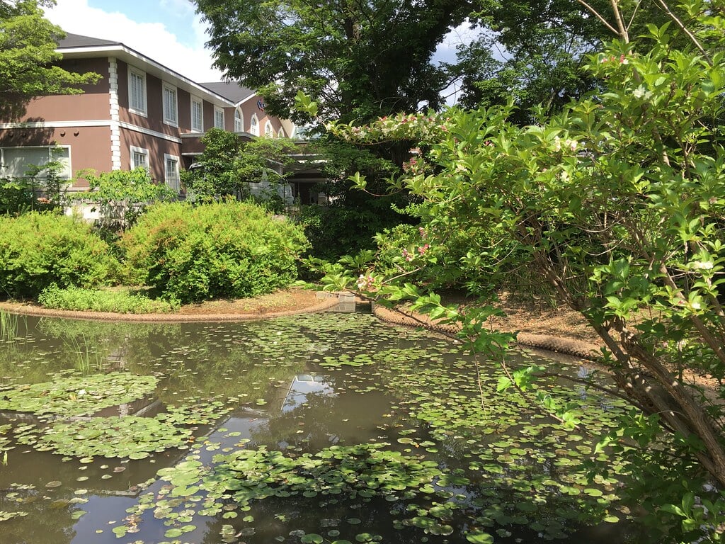 浮間公園の写真3