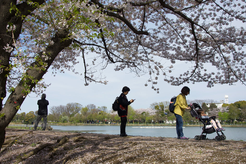 浮間公園の写真5