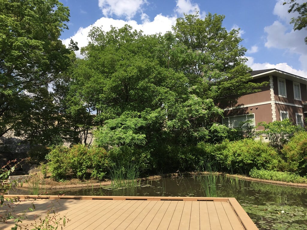 浮間公園の写真6