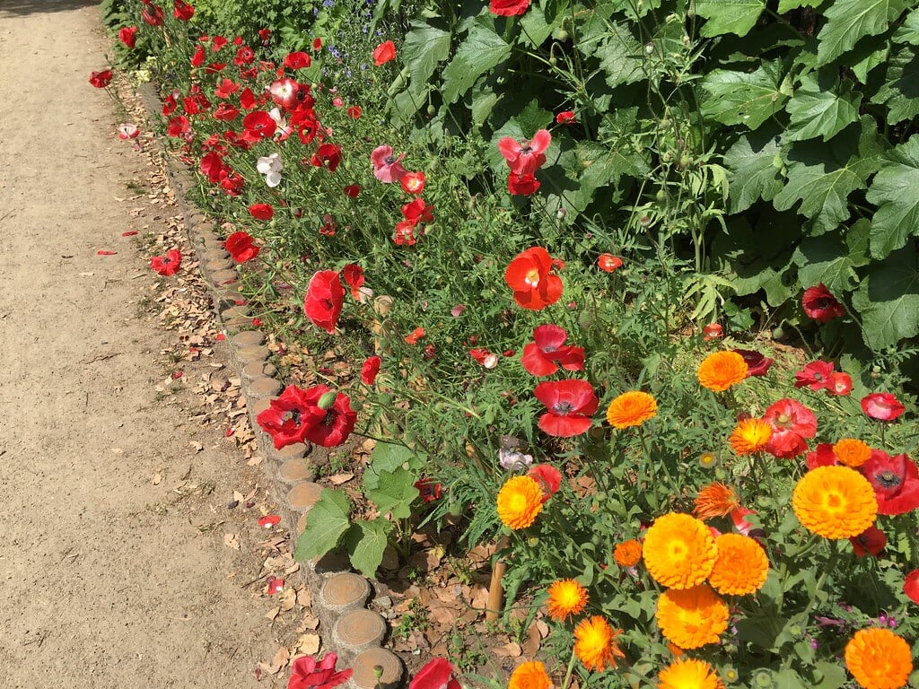 浮間公園の写真8