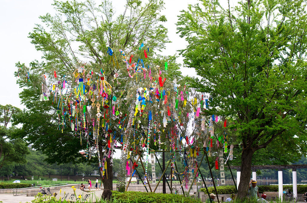 浮間公園の写真9