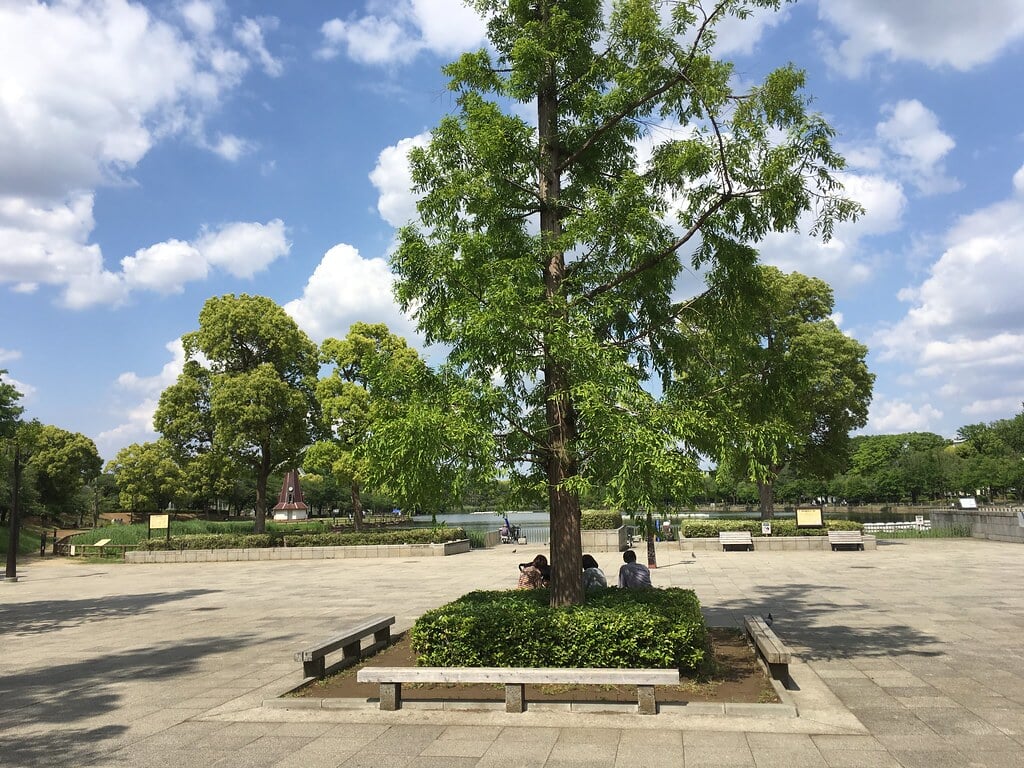 浮間公園の写真11