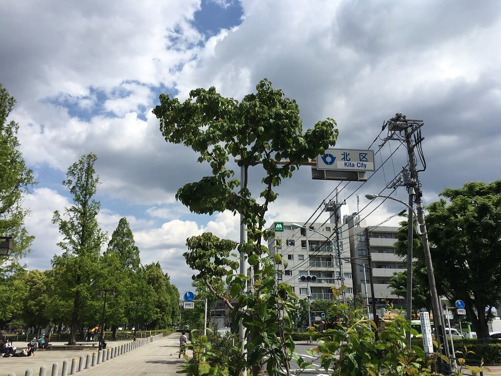 浮間公園の写真12