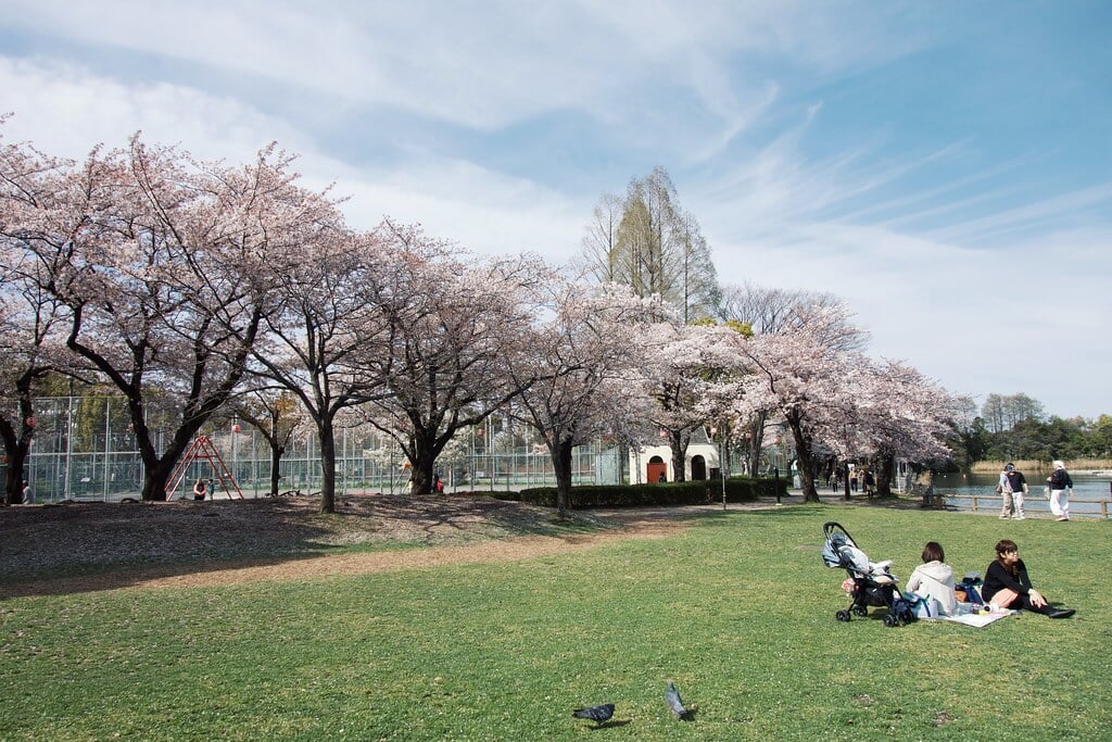 浮間公園の写真15