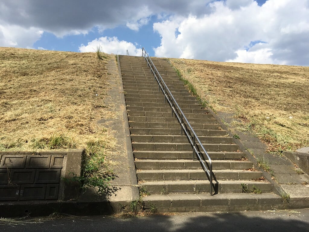 浮間公園の写真16