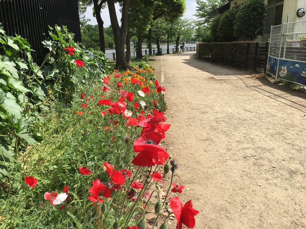 浮間公園の写真17