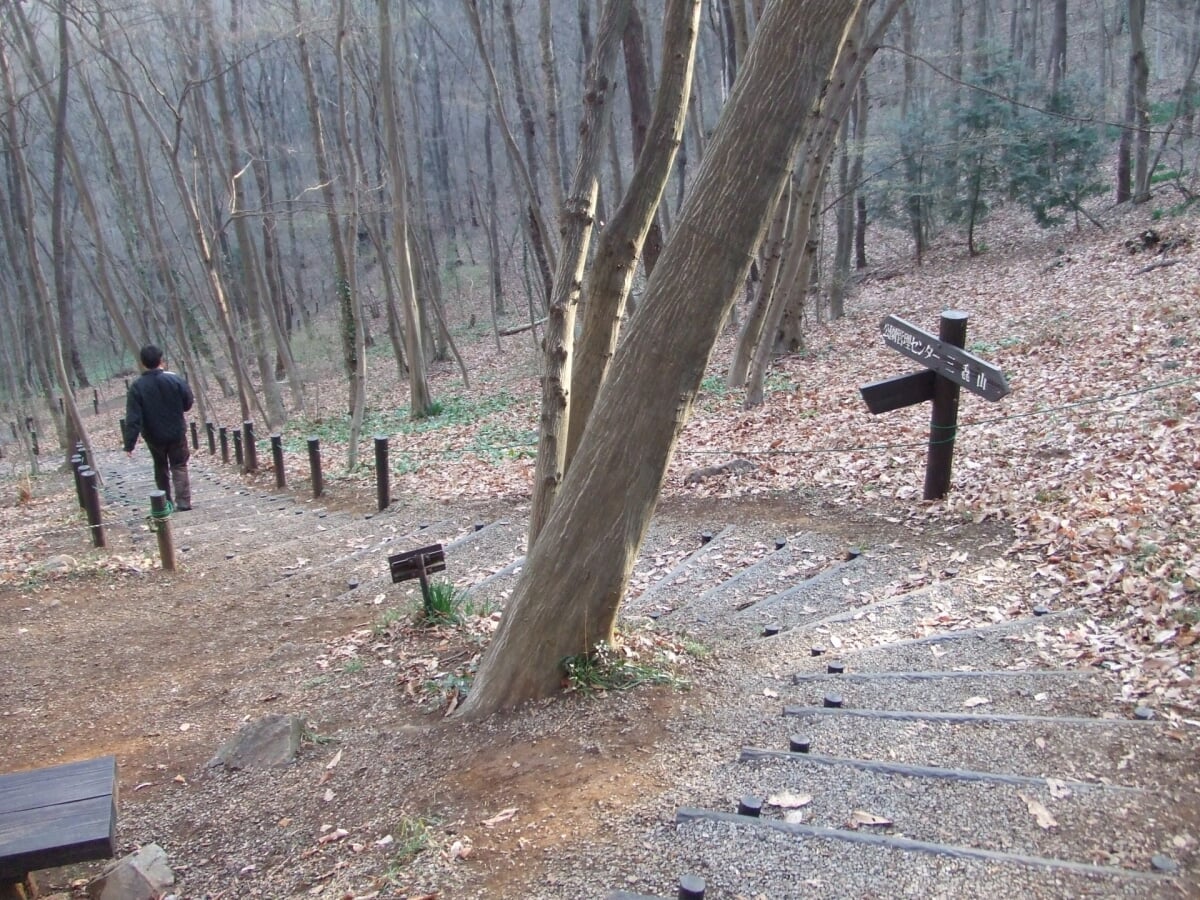 みかも山公園の写真2