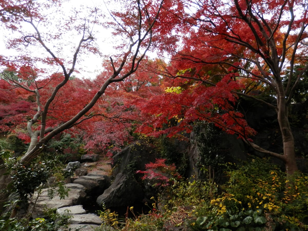 みかも山公園の写真4