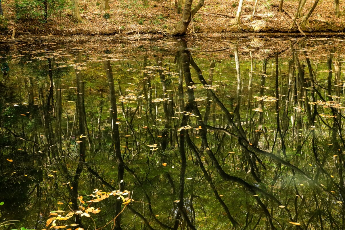みかも山公園の写真5