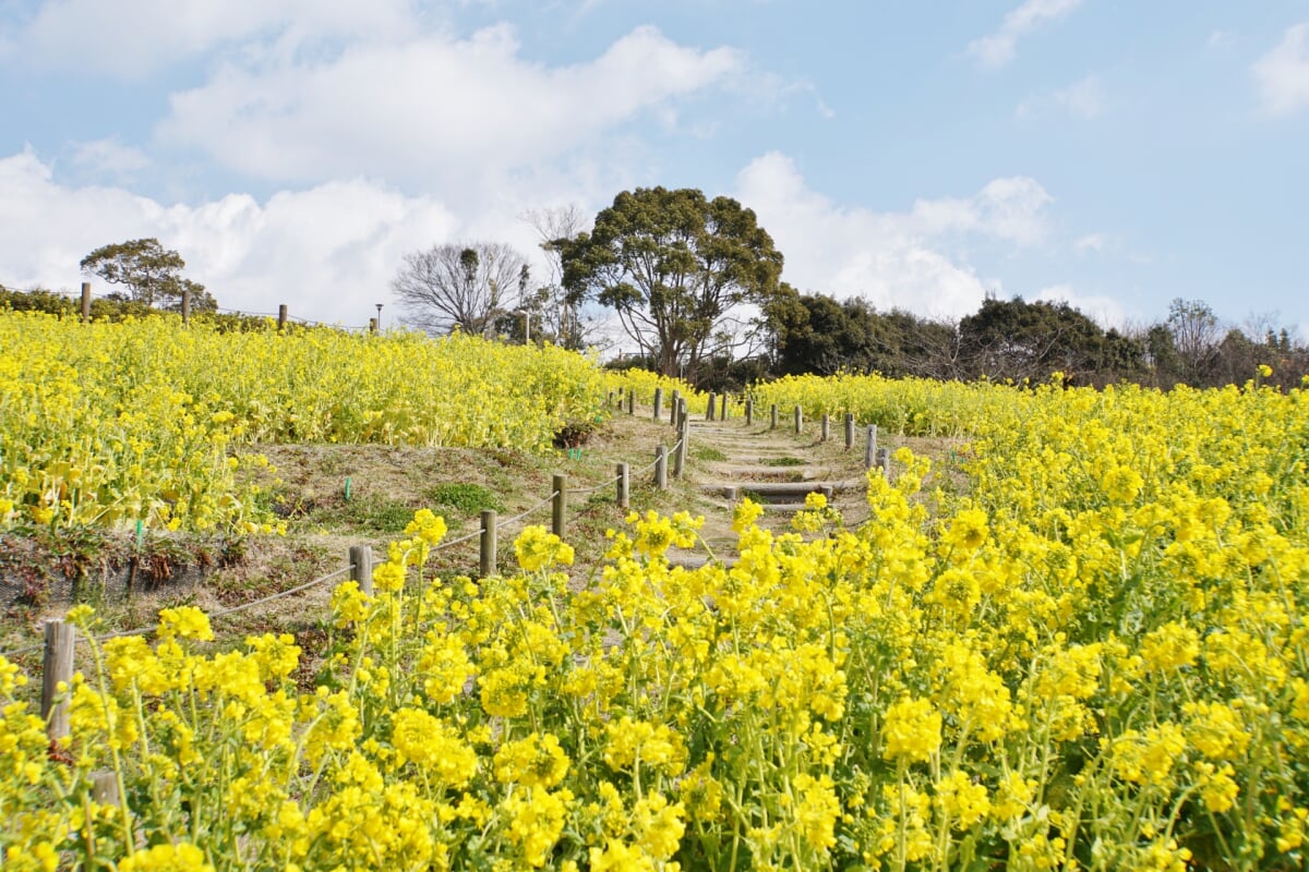 神戸総合運動公園の写真3